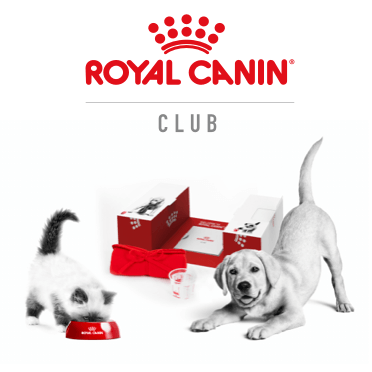 Le club Royal Canin
